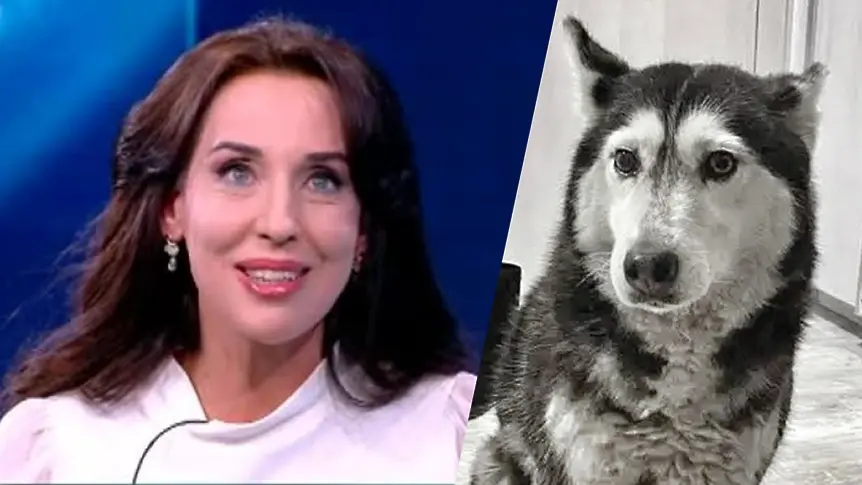 Неделя Щонова: Мая не е просто куче! Тя е едно малко сърце, спяло с вярата, че няма зло!