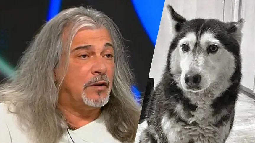 Маги Халваджиян избухна: Лекар умишлено гази с колата си лежащо кротко на тротоара куче!