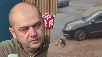 Явор Гечев: Умишлено лекарят сгази и уби кучето Мая!