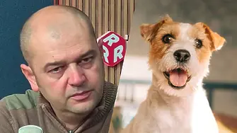 Явор Гечев: В русенски села от няколко месеца човек отстрелва кучета!