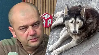 Явор Гечев: Убийството на кучето Мая не е единичен случай и това е тъжното!