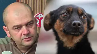 Гечев: В полицията извън София се подиграват на хората, подаващи жалби за наранени животни!