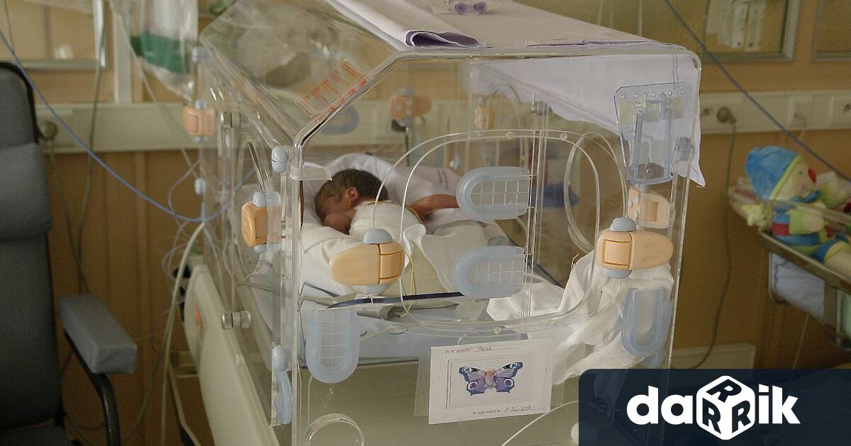 Днешният Световен ден на недоносените деца се отбелязва от 2011