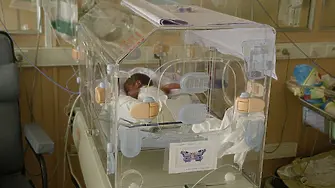 Днес е Световният ден на недоносените деца