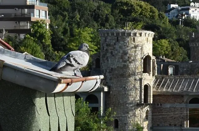 16 ноември е Международен ден на толерантността