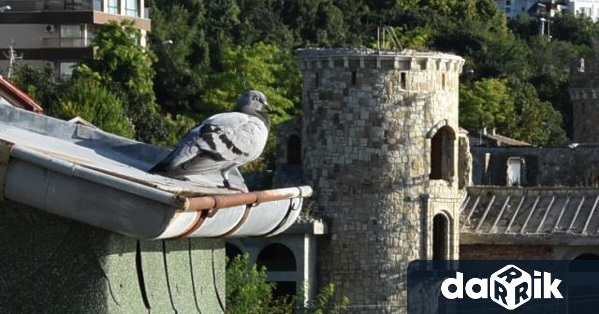 На 16 ти ноември се отбелязва Международният ден на толерантността През