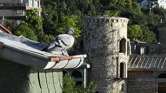 16 ноември е Международен ден на толерантността