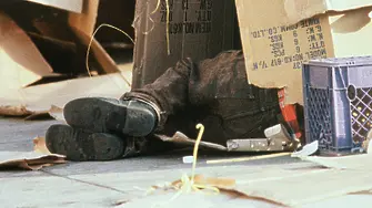 Бездомните в София – 3 пъти по-малко от тези в Букурещ