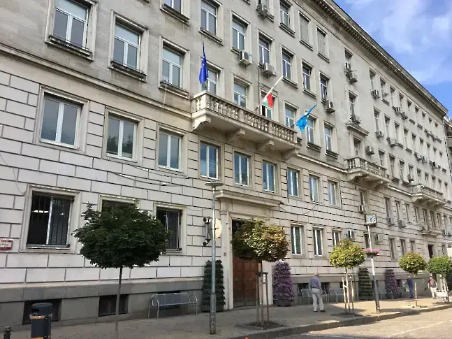 Бездомните в София били значително по-малко отколкото в големите европейски градове