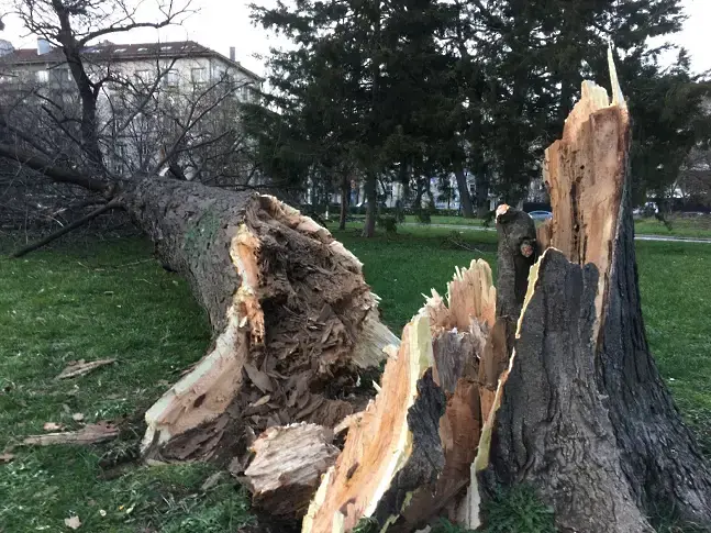 Опасно време: Предупреждение за ураганен вятър в Царево
