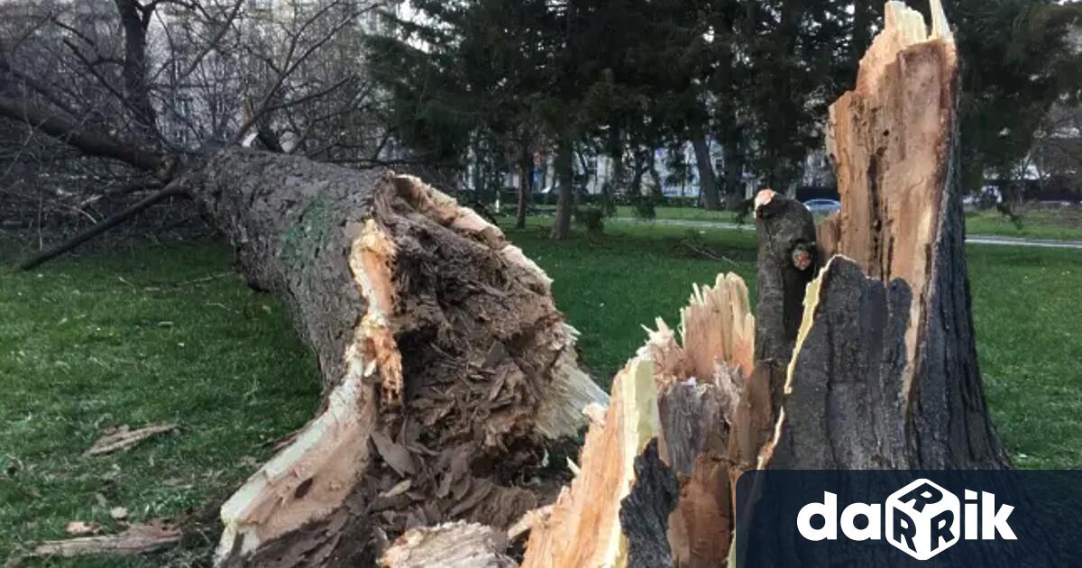 Предупреждение за ураганен вятър в Царево Според метеоролозите днес в