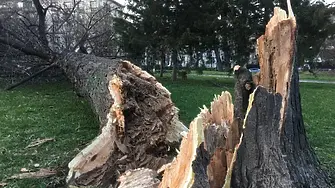 Опасно време: Предупреждение за ураганен вятър в Царево