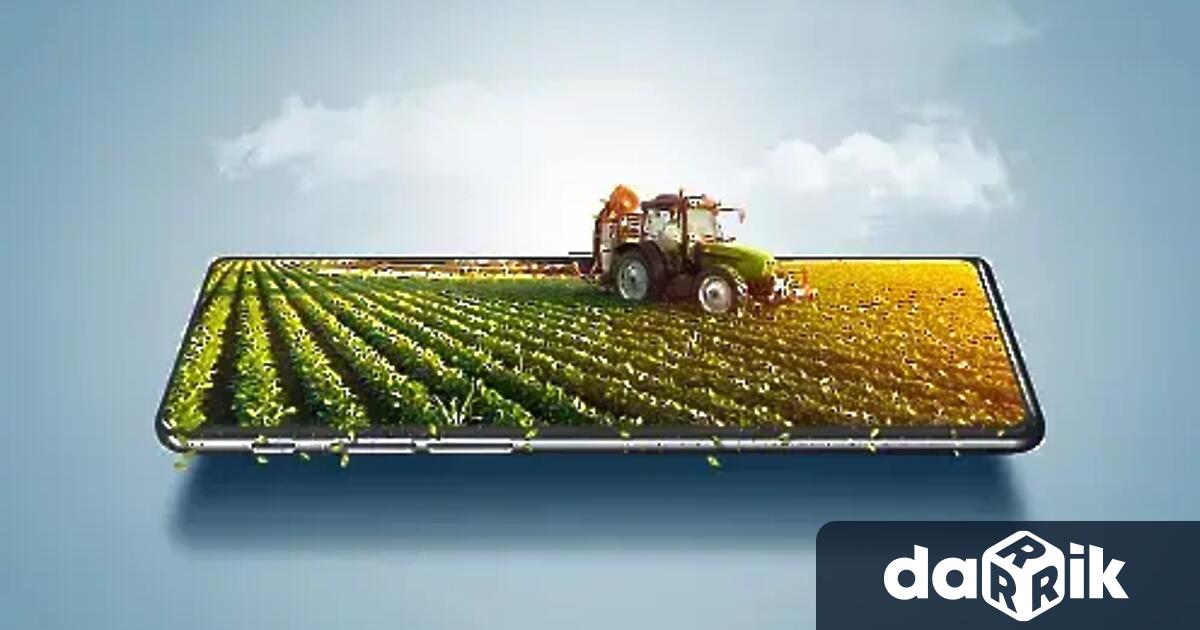 Цените на свинското месо няма да се повишат до края