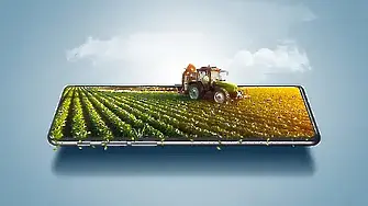 Прогноза за цената на свинското и как земеделските производители гледат на случващото се с "Лукойл"