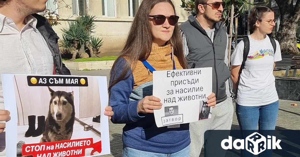 Варненци днес излязоха на протест срещу насилието на животни иотново
