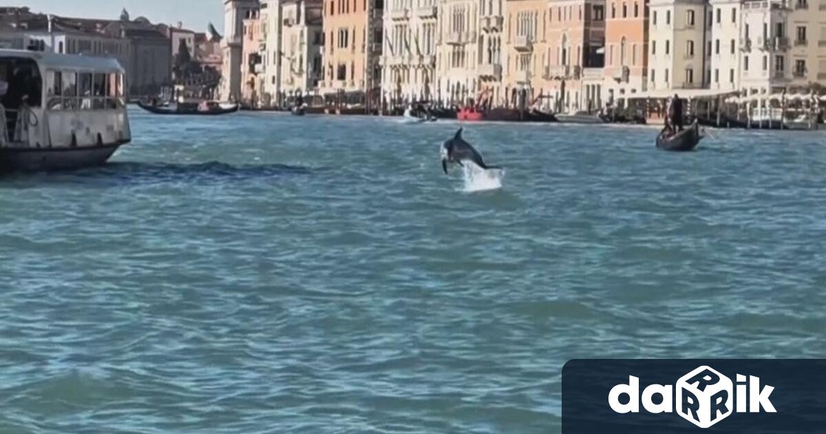 Венецианската лагуна стана вчера вчера сцена на мащаба операция В