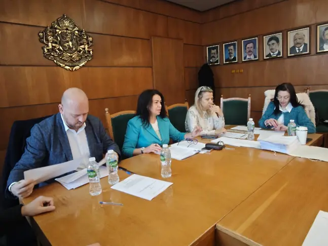 Започна публичният търг за отдаване под наем на 24-те дървени къщички в Коледното градче на Плевен