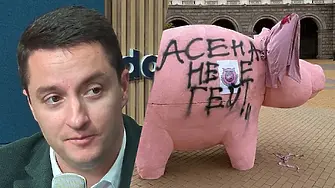 Явор Божанков: Не одобрявам нито розовото прасе, нито надписа върху него!