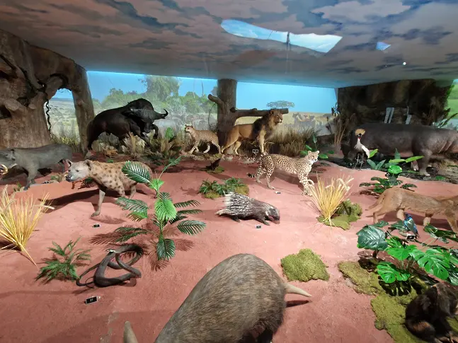 В Пловдив откриха първото в България зоокафе