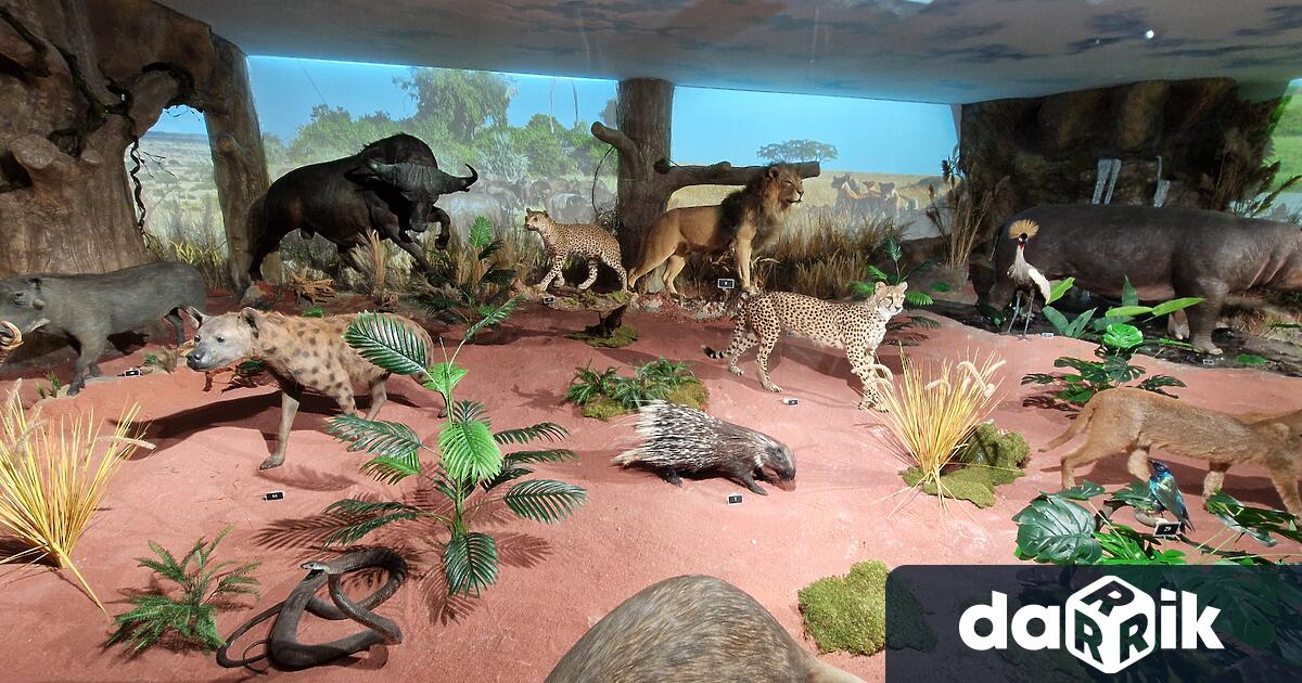 В Пловдив беше открито първото в страната зоокафе – част