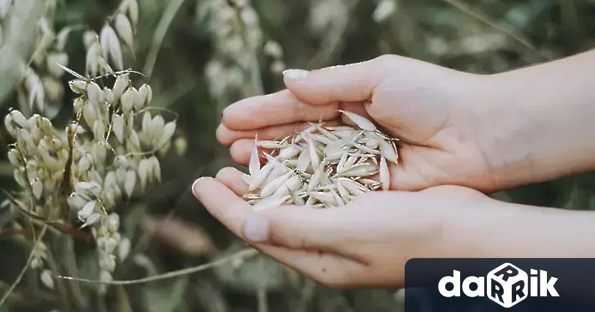 Украинското правителство подготвя одобрението на новия списък със стоки които