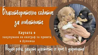 Благотворително събитие за животните: „Подай ръка, защото щастието се крие в добрината“