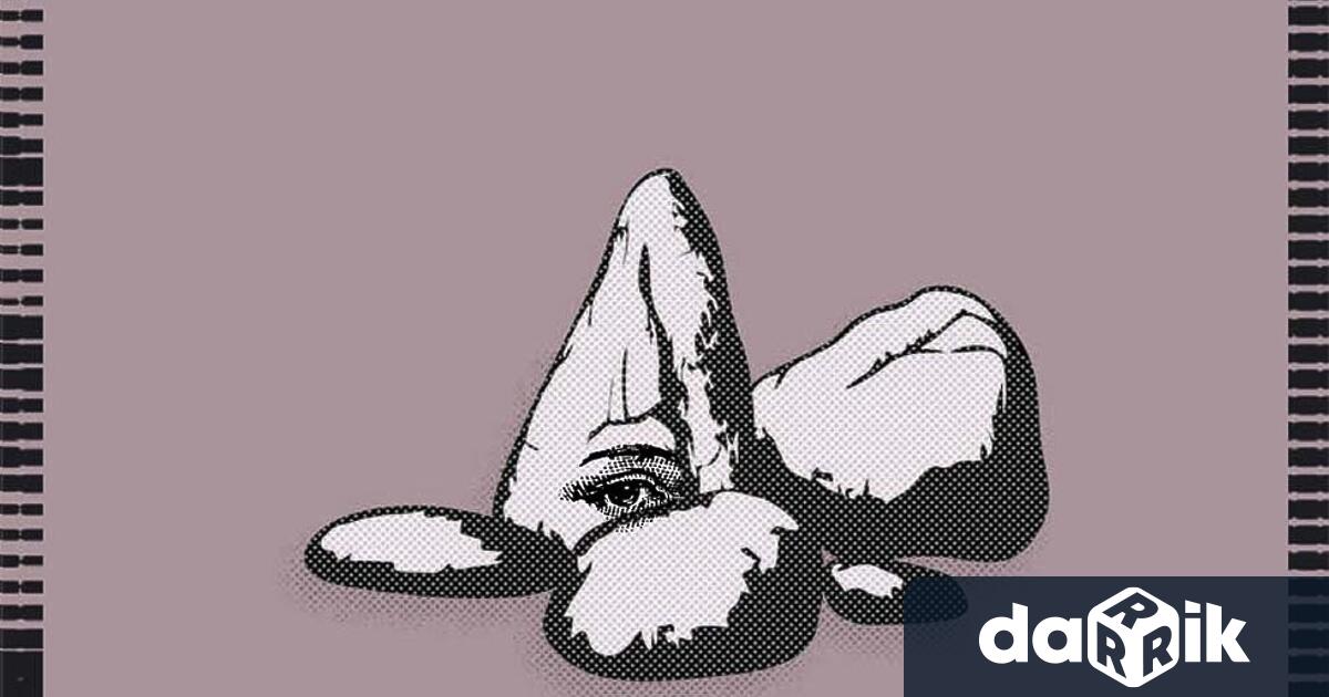 Ново издание на апокалиптичния шедьовър Платформата на Мишел Уелбек излиза