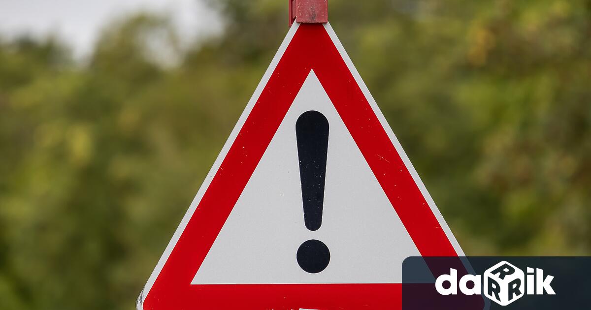 Силният вятър събори голямо дърво край пътя и спря движението