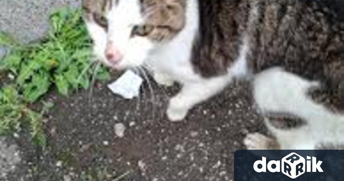 На 23 ноември жителка на с Търняне подала сигнал на