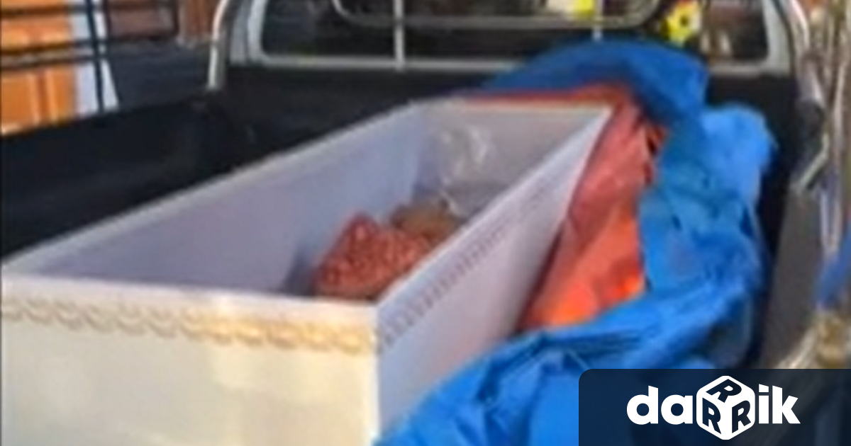 Докато братът й я смяташе за мъртва 65 годишната жена се