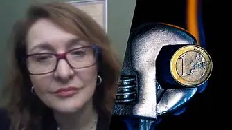 Проф. Христова: С влизането ни в еврозоната „ще си купим фабрика на 9 септември“!