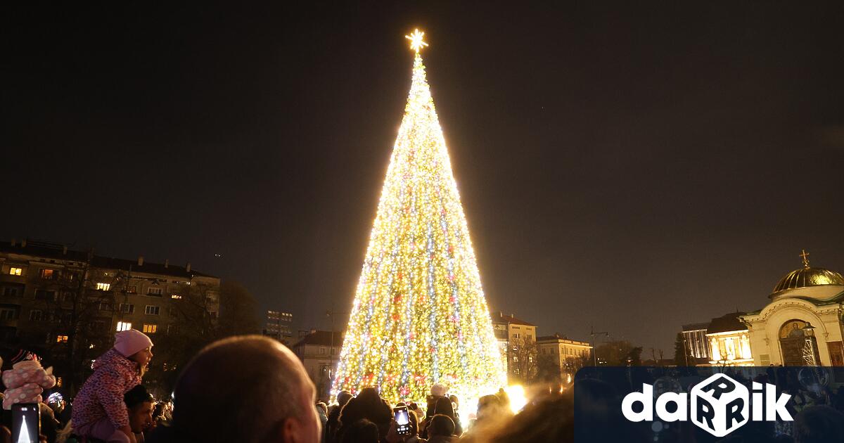 Коледната елха на София грейна тази вечер с над 20