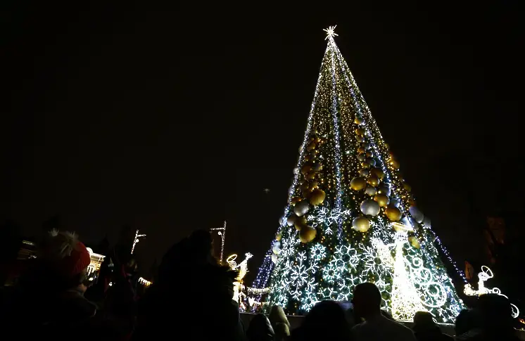 Коледната елха в София ще грейне с хиляди светлини на 2 декември
