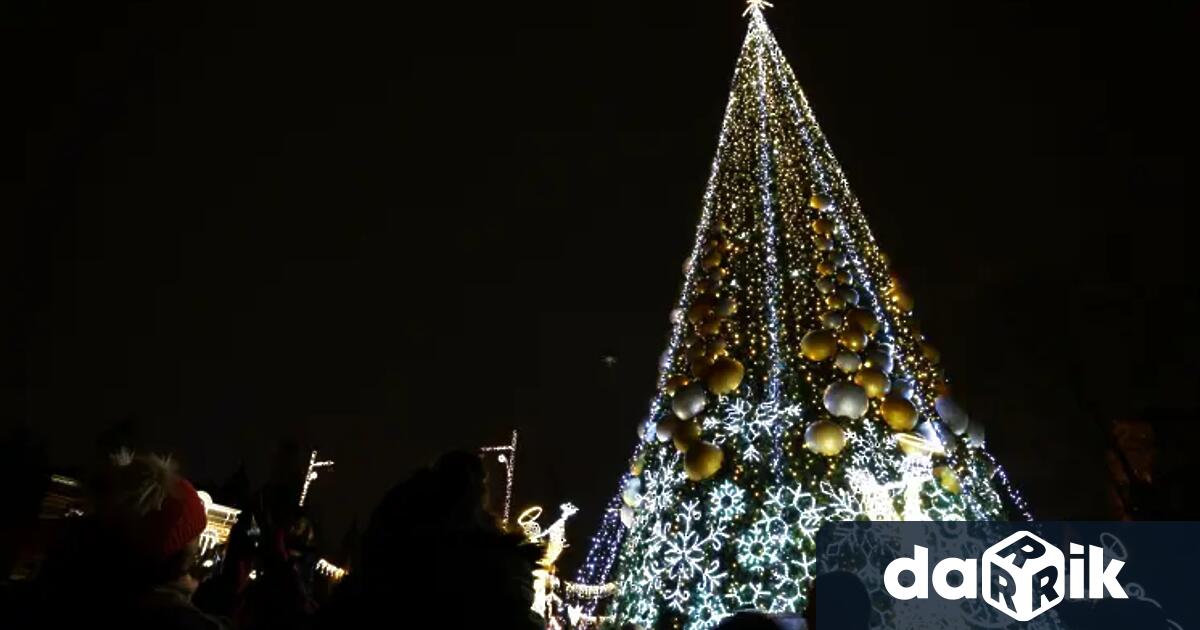 Над 20 000 светлини ще грейнат на коледната елха в