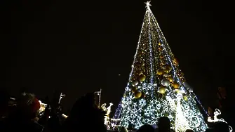 Коледната елха в София ще грейне с хиляди светлини на 2 декември
