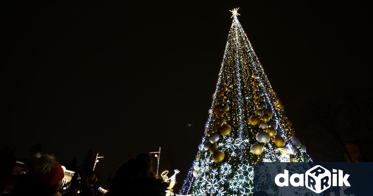 Светлините на коледната елха в София ще бъдат запалени тази