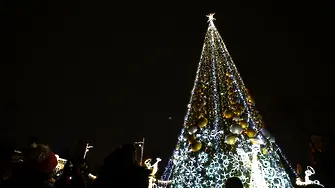 Светлините на коледната елха в София ще грейнат тази вечер