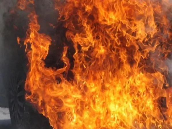 Задържаха двама мъже, запалили товарен автомобил в с. Галиче