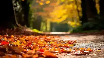 Мъгливо утро, слънчев следобед днес