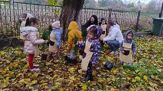 Видинските детски градини, ясли и училищата вече създадоха своите първи зелени кътове и пунктове за разделно събиране