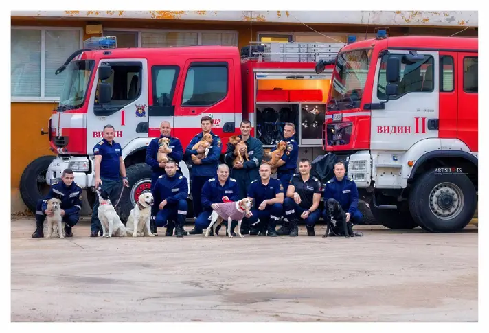  12 видински огнеборци в благотворителна фотосесия с 12 кученца от видинския Общински приют за кучета