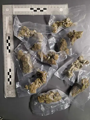 13 души са задържани при поредна акция срещу наркоразпространението