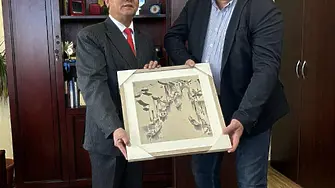 Китайска делегация посети Видин