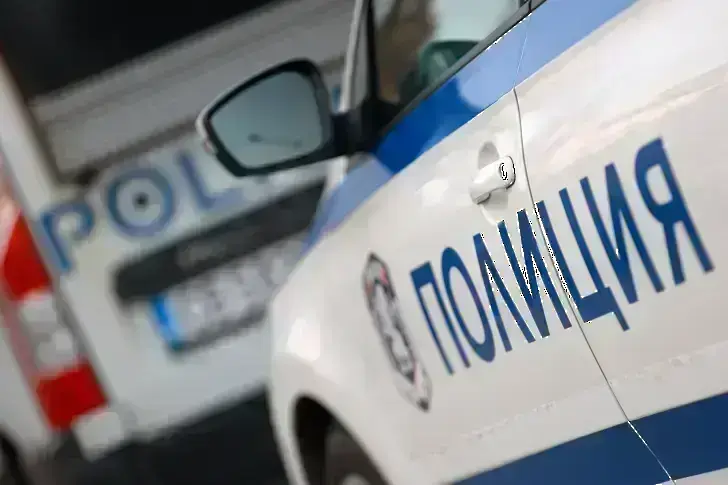 Камион блъсна и уби жена в Плевен