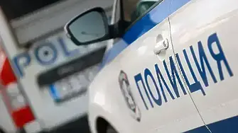 Камион блъсна и уби жена в Плевен