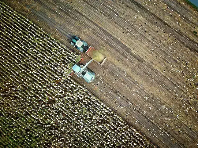 Няма промени в цените на основните стоки на световните борси , отчитат експерти