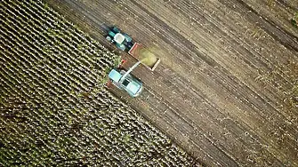 Няма промени в цените на основните стоки на световните борси , отчитат експерти