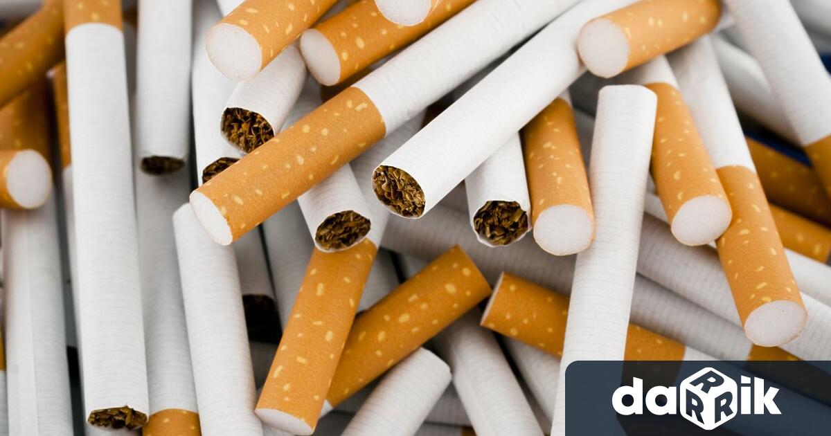 Полицията претърси жилището на врачанка и намери цигари без бандерол На