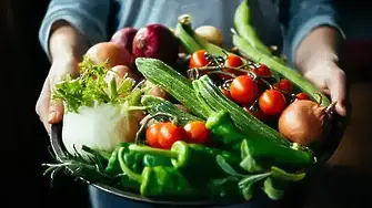 Какви са проблемите на оранжерийните производители у нас?