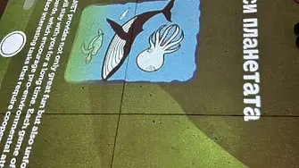 Градската библиотека в Севлиево оптимизира достъпа на гражданите до информационни ресурси и обществени инициативи чрез канали за обучение и творческо развитие